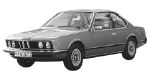 BMW E24 P1B1F Fault Code